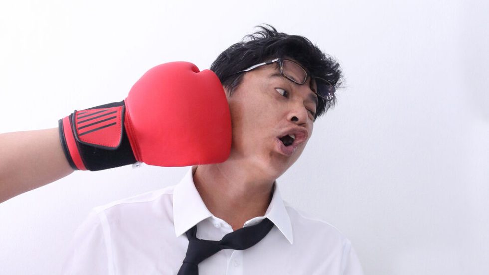 boxer